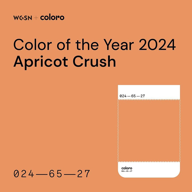 coloro年度色APRICOT CRUSH